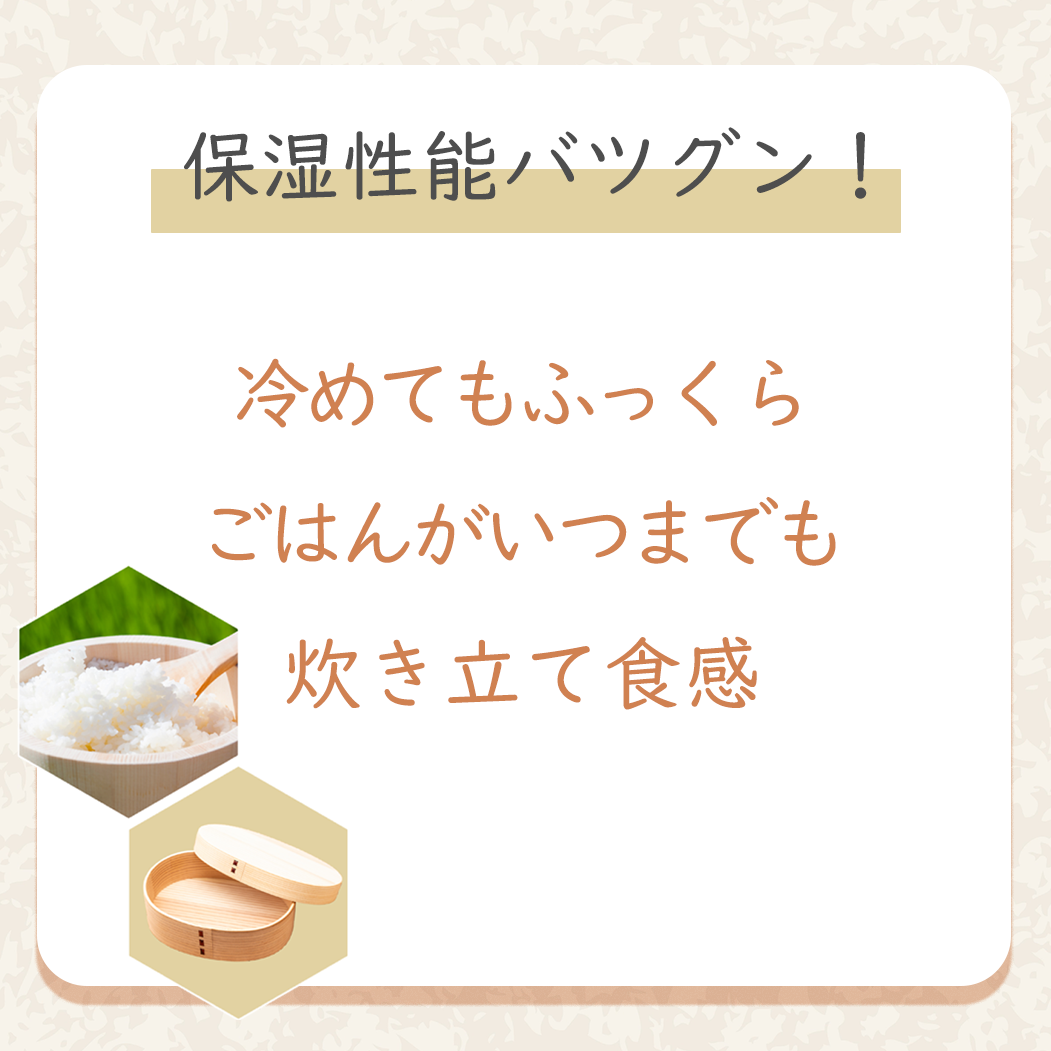 二段曲げわっぱ弁当箱漆塗り らいちょう漆絵